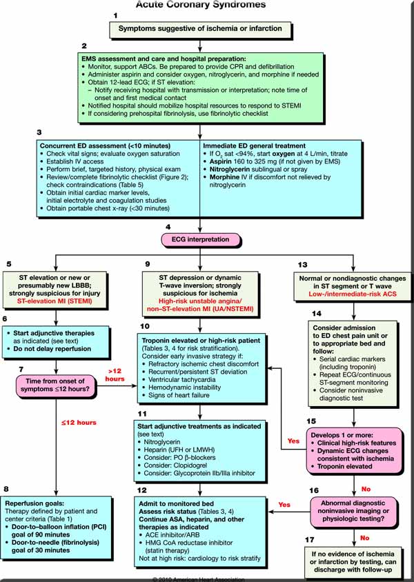 ACLS Guidelines - 2010 Update acls guidelines 2010. ACLS Guidelines - 2010 Update