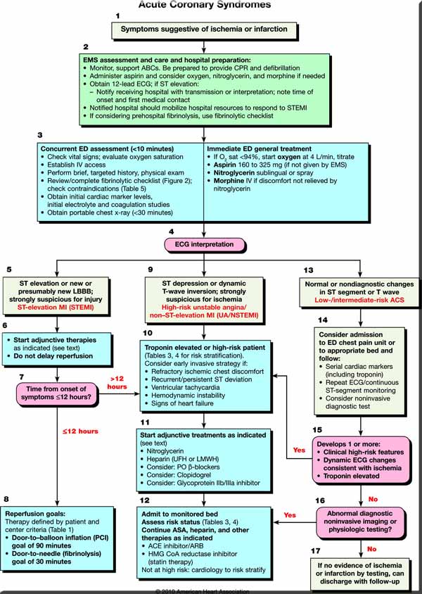 acls guidelines 2010. ACLS Guidelines - 2010 Update