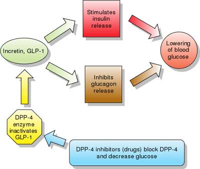 Glp Weight Loss