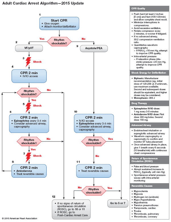 Acls Guidelines 2015 Update Adult Cardiac Arrest